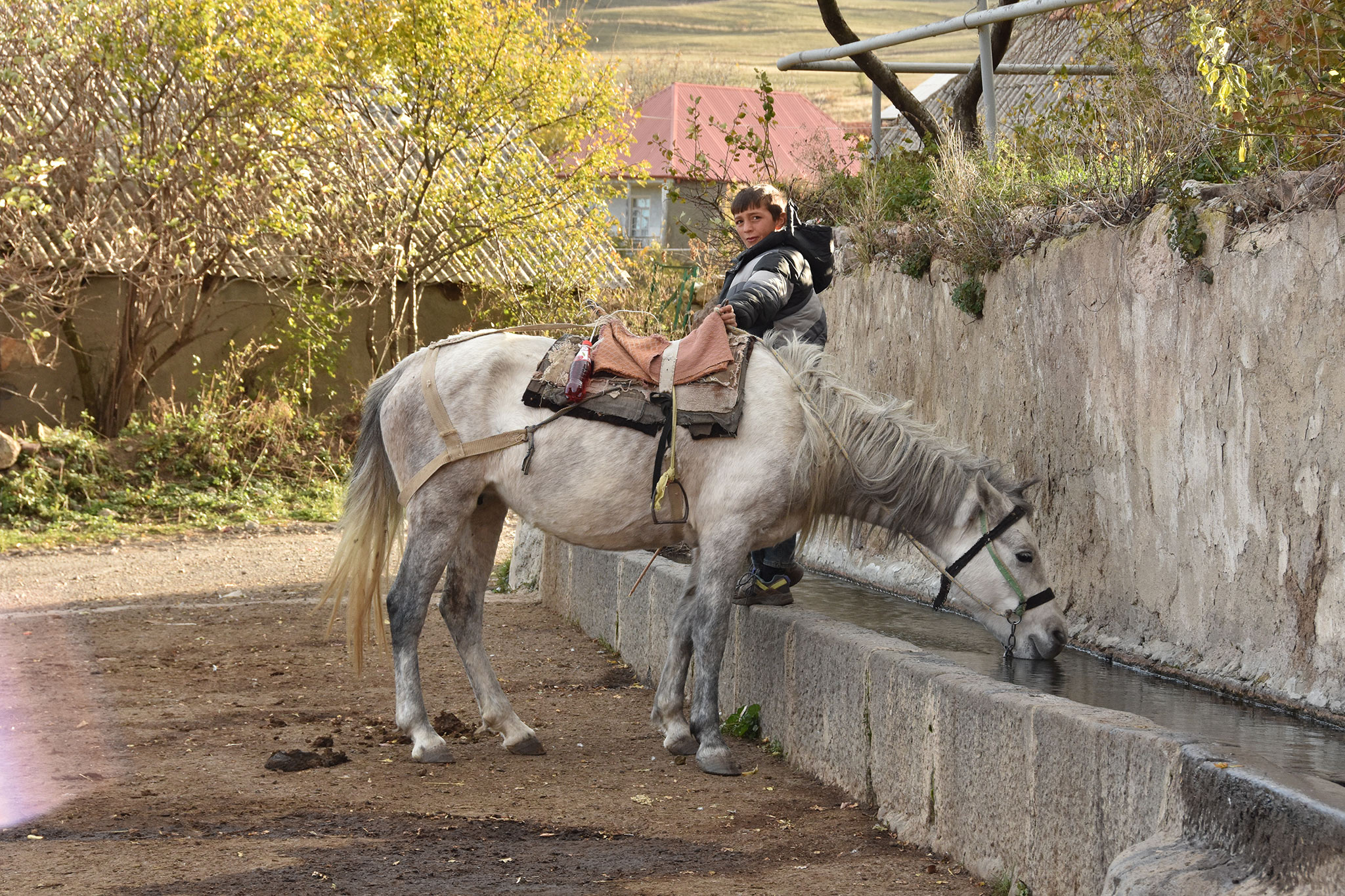 Ardvi (Ардви)